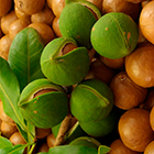 Argan